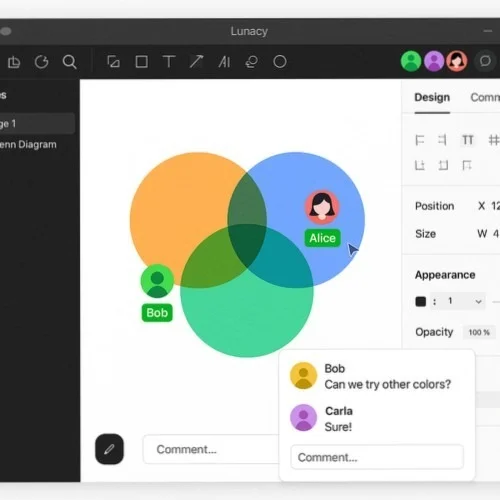 Collaborative Venn Diagram Creation