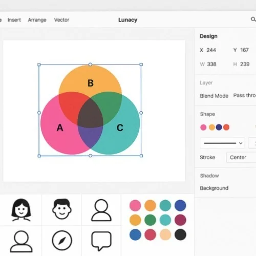 Venn diagram customization workflow