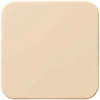 Bleed Guides Icon