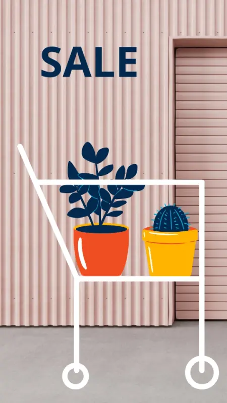 “aesthetic