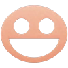 Style Variety Icon