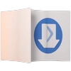 Export Icon