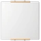 Choose canvas size