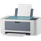 Download and print