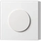 Add Circle Shape