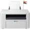 Export or Print Flag