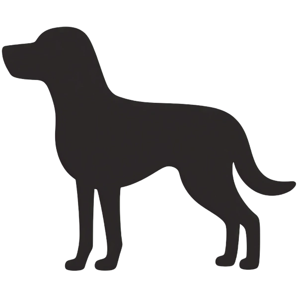 Background removal for pet stickers