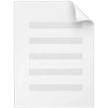 Flyer Size Templates Icon