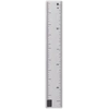 Custom sizing icon