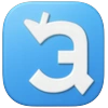 Custom Size Icon