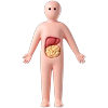 Healthcare Illustrations