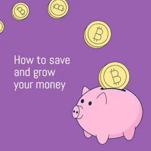 money template 24
