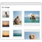 Add Visual Elements