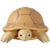 Shell Shape Icon
