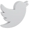 Social Media Icon