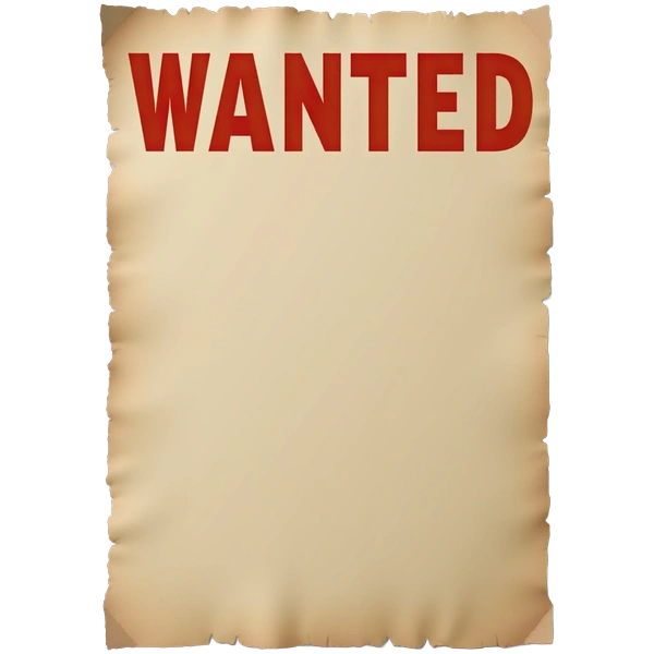 Authentic One Piece wanted poster styles