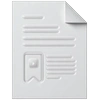 Format Options Icon