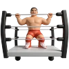 Wrestling Graphics Icon